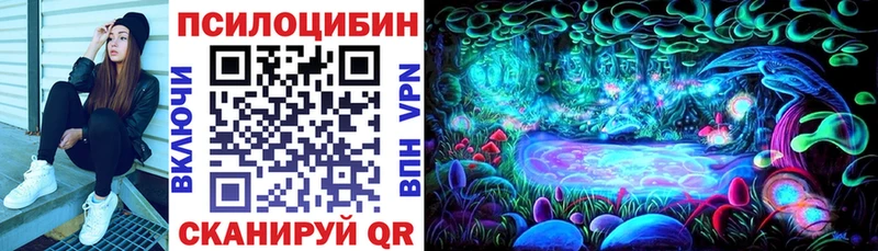 Псилоцибиновые грибы Psilocybine cubensis Ачхой-Мартан